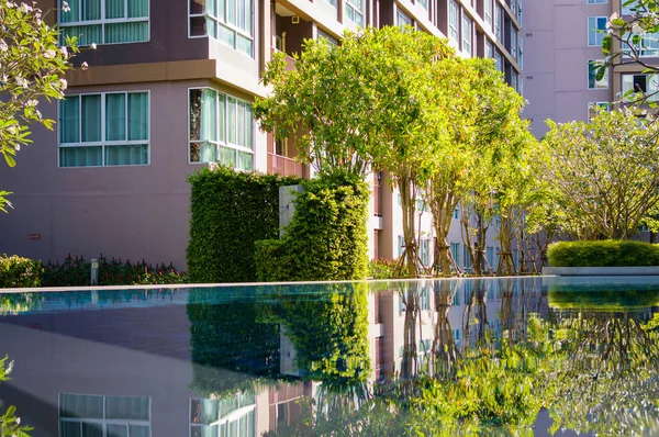 Riflessione nell'acqua della piscina. Resort di lusso — Foto Stock