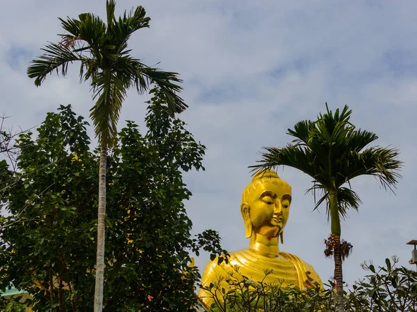 Złota statua Buddy wśród drzew palmowych, na tle nieba — Zdjęcie stockowe