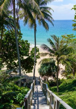 Ahşap avuç plaj yolu merdivenlerden aşağı. Naithon beach, Phuket, Tayland