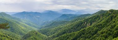 Kafkas Dağları'nın eteklerinde dağ orman manzarası,