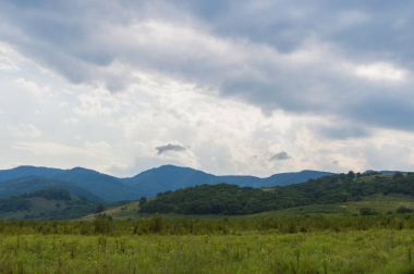 Kafkasya Dağları eteklerindeki dağ ormanı manzarası, Adygea, Rusya