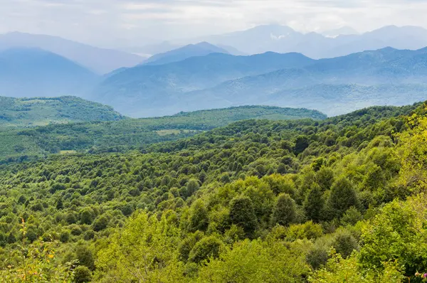Kafkasya Dağları eteklerindeki dağ ormanı manzarası, Adygea, Rusya