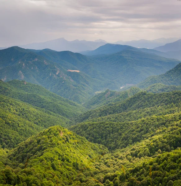 Гірський лісовий ландшафт біля підніжжя Кавказьких гір в Адигеї (Росія). — стокове фото