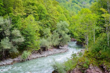 Yaz manzara dağ nehir ile. Belaya nehir Adıge, Rusya Cumhuriyeti