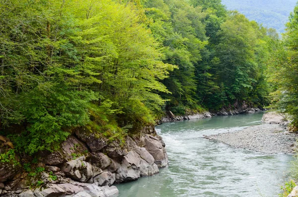 Yaz manzara dağ nehir ile. Belaya nehir Adıge, Rusya Cumhuriyeti