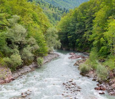 Yaz manzara dağ nehir ile. Belaya nehir Adıge, Rusya Cumhuriyeti
