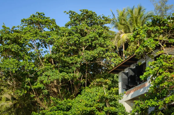 Windows üzerinde orman orman bungalow resort panjurlar ile