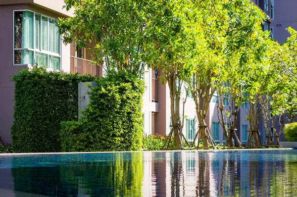 Riflessione di piccoli alberi in un'acqua limpida di piscina — Foto Stock