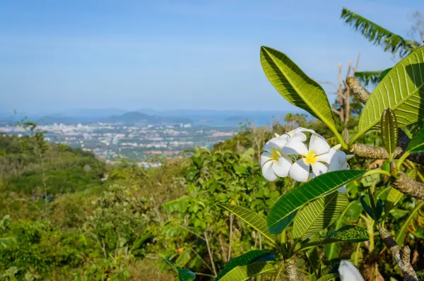 panoramik Hill big buddha phuket Tayland