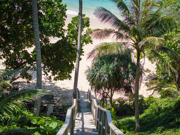 Dřevěných schodů cesta na pláž, palmy kolem. Naithon beach, Phuket, Thajsko — Stock fotografie
