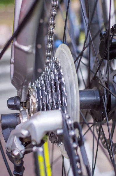 Close up Bicycle Part with Cassette Gear and Wheel