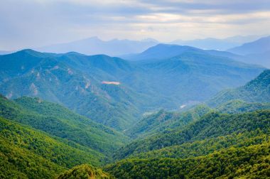 Kafkasya Dağları eteklerindeki dağ ormanı manzarası, Adygea, Rusya