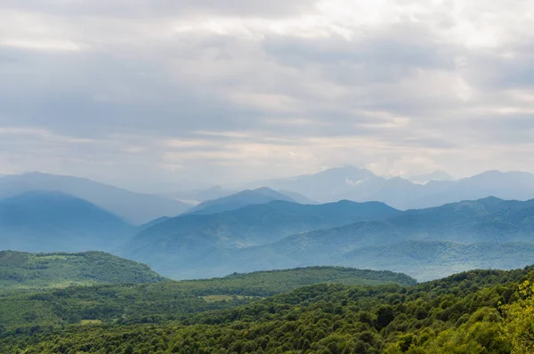 Kafkasya Dağları eteklerindeki dağ ormanı manzarası, Adygea, Rusya