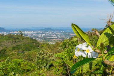 panoramik Hill big buddha phuket Tayland