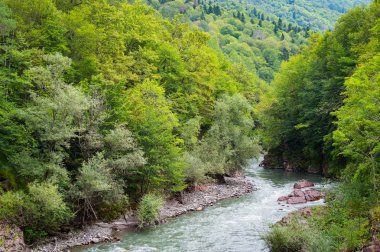 Yaz manzara dağ nehir ile. Belaya nehir Adıge, Rusya Cumhuriyeti