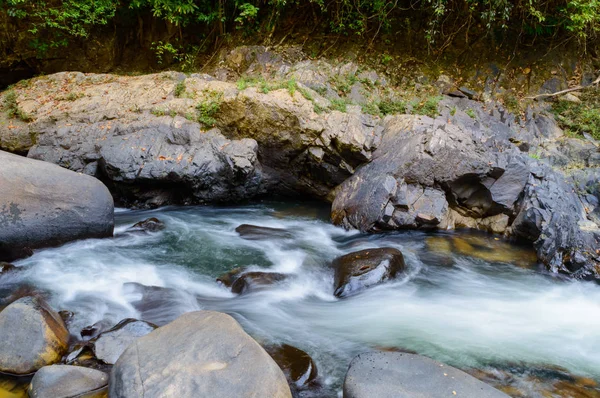 Sahne Khao Sok Milli Parkı'nda Tayland. Khao Sok Milli Parkı yağmur orman orman Surat Thani ili