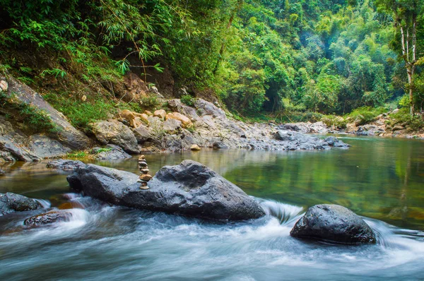 Sahne Khao Sok Milli Parkı'nda Tayland. Khao Sok Milli Parkı yağmur orman orman Surat Thani ili