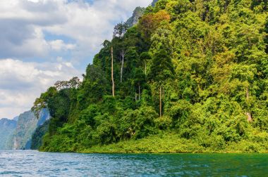 Güzel dağlar göl gölü gökyüzü ve doğal eğlence Ratchaprapha Barajı Khao Sok Ulusal Parkı, Surat Thani Eyaleti, Tayland