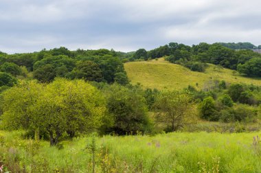 Kafkasya Dağları eteklerindeki dağ ormanı manzarası, Adygea, Rusya