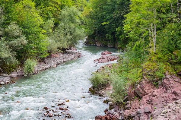 Yaz manzara dağ nehir ile. Belaya nehir Adıge, Rusya Cumhuriyeti