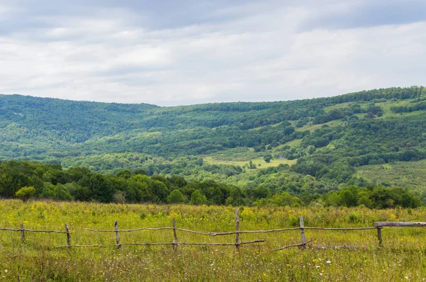 Kafkasya Dağları eteklerindeki dağ ormanı manzarası, Adygea, Rusya
