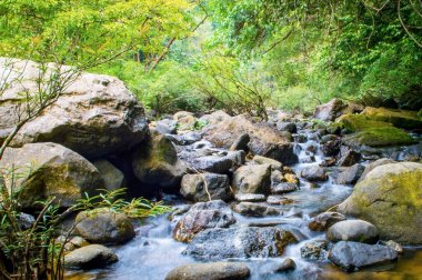 Ormandaki nehir dağ içinde taşlar.