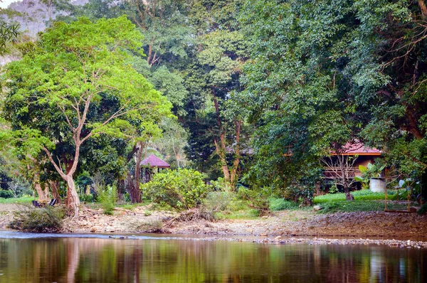 Gebirgsfluss im Khao Sok Nationalpark in Thailand — Stockfoto