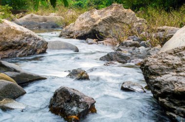 Ormandaki nehir dağ içinde taşlar.