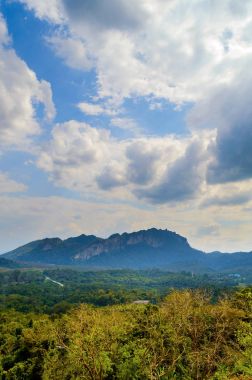 Tayland 'daki yeşil dağ manzarası