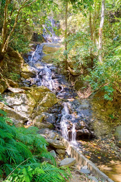 Dağ nehir Khao Sok Milli Parkı'nda Tayland