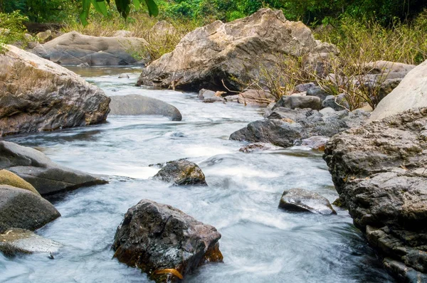 Ormandaki nehir dağ içinde taşlar.