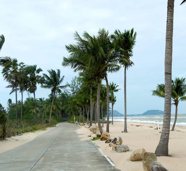 Route côtière venteuse par une journée nuageuse avec palmiers. Le concept de hors-saison dans la station — Photo