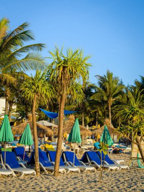 yaz tatil plaj arka plan