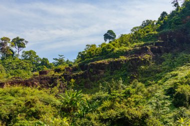 Yaz dağı manzarası