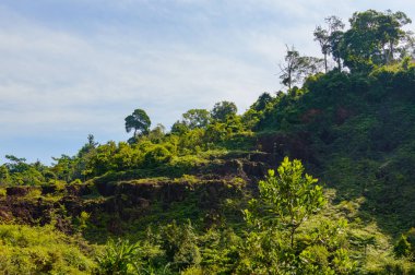 Yaz dağı manzarası