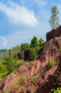 Yaz dağı manzarası