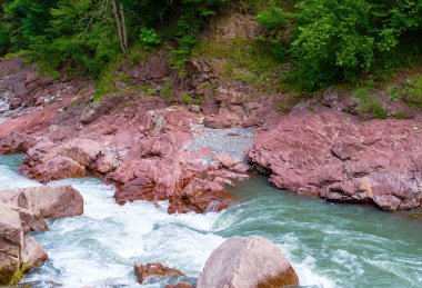 Dağ nehri yeşil ormandan akıyor.