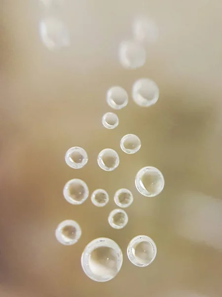 Μακροεντολή φυσαλίδες νερού. Θάμπωμα φόντου, χαμηλό βάθος πεδίου — Φωτογραφία Αρχείου