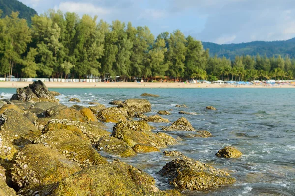 Příval vody osvěžující kámen na pláži v slunečný den — Stock fotografie