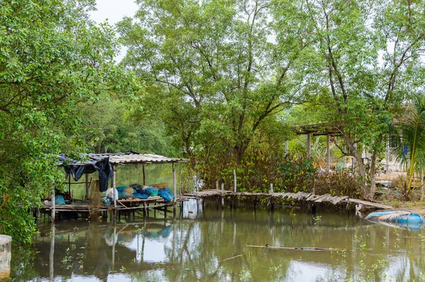 在热带的河流小屋在丛林中的房子 — 图库照片