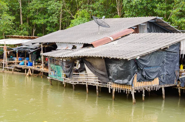 在热带的河流小屋在丛林中的房子 — 图库照片