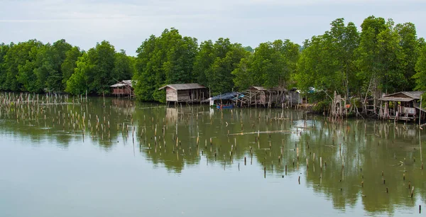 Καλύβες στο ποτάμι μέσα σε τροπικό τοπίο - σπίτια στη ζούγκλα — Φωτογραφία Αρχείου