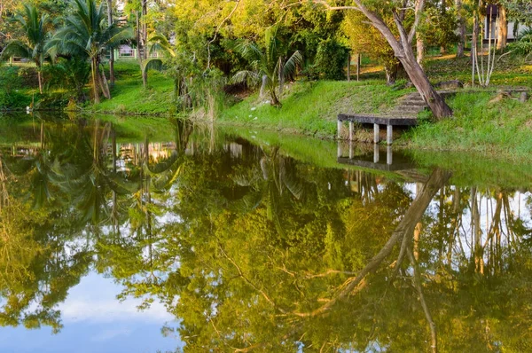 Grüner Wald am See im Spiegel der Schönheit des Wassers in der Natur — Stockfoto