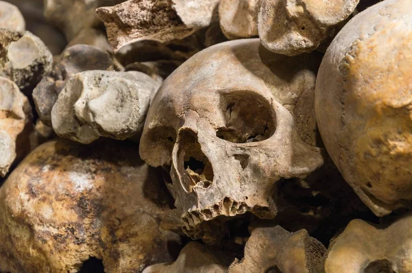 Yeraltı mezarlığı, Paris, Fransa. Bunlar yeraltı ossuaries ve turistik gösterir. Fransa, Paris, 07 Ekim 2014