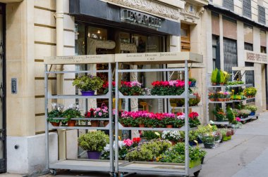 Fransa, Paris, 6 Ekim 2014: Lesc arcelle çiçekçi dükkanı sokak Paris, Fransa