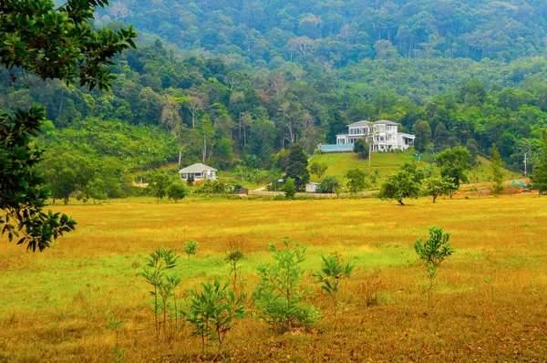 Paisaje rural con casa señorial de pie solo en la colina en la región de montaña —  Fotos de Stock