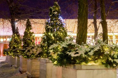 Küçük Mazı ağaçlar kar Park tarafından kapsanan. Gece aydınlatma yol yürüme