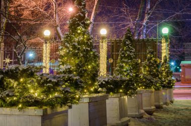 Küçük Mazı ağaçlar kar Park tarafından kapsanan. Gece aydınlatma yol yürüme