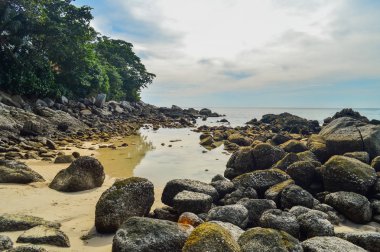 Deniz manzara. Akşam taş sahilde