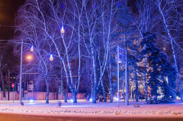 Bouleaux éclairés par la lumière de couleur bleue. Paysage hivernal — Photo